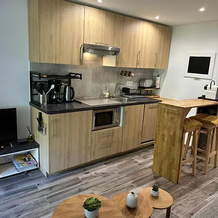 Appartement Charming With Garden In Roquebrune *