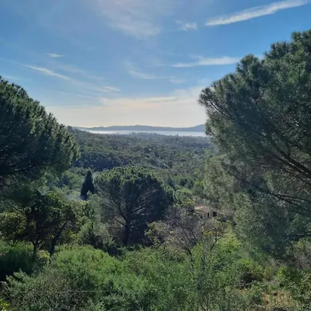 Appartement Charming With Garden In Roquebrune La Garonnette-Plage